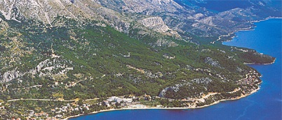 Okoli